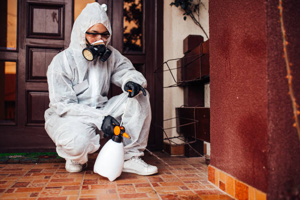 Attic and Crawl Space Rodent Treatment in Mammoth Lakes